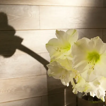 Hotel Le Colombier Obernai