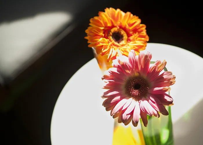 Hotel Le Colombier Obernai