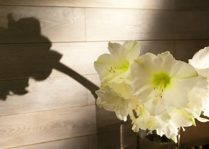 Hotel Le Colombier Obernai